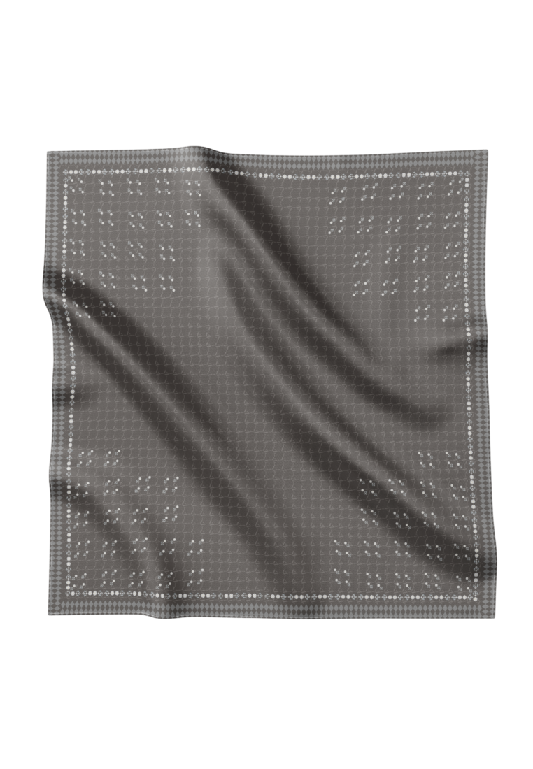 VZ Phoebee Scarf - Taupe